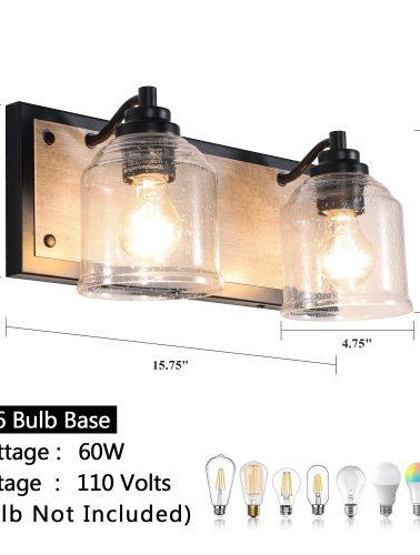 2-Light Black Vanity Light with Seeded Glass Shades